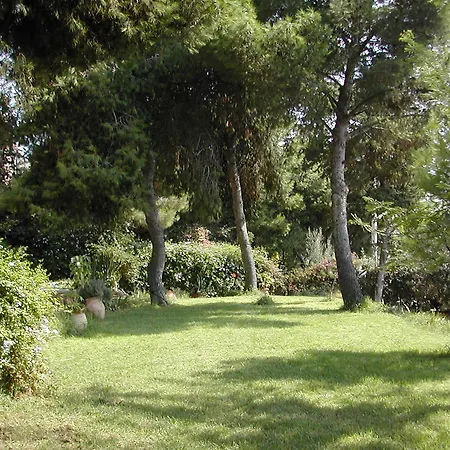 B&B Casa Del Mandorlo *